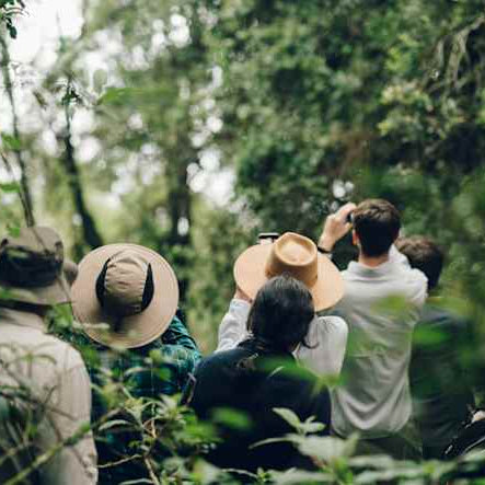 Top tips for Wildlife Photography: Part 2 - Choosing a camera and lenses