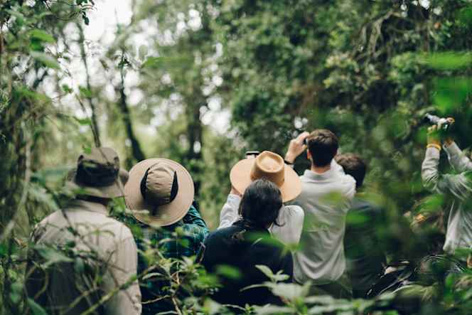 Top tips for Wildlife Photography: Part 2 - Choosing a camera and lenses