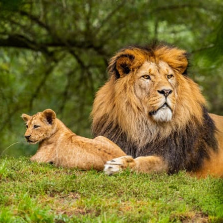 Top tips for Wildlife Photography: Part 3 - Develop Your Style & Think Long Term