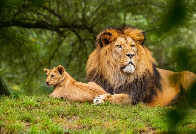 Top tips for Wildlife Photography: Part 3 - Develop Your Style & Think Long Term